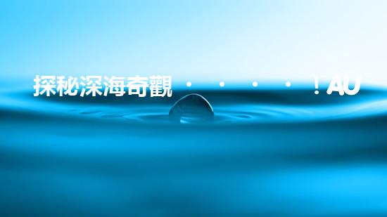 探秘深海奇觀！AUV水下機(jī)器人揭開(kāi)神秘海底的面紗？